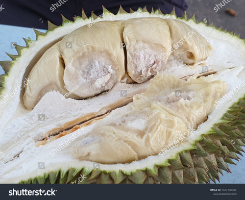 Durian Susu