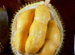Isi Durian Monthong
