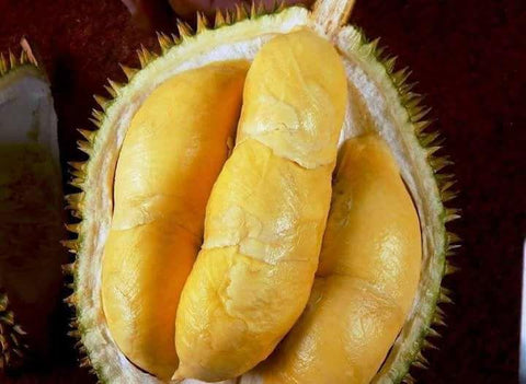 Isi Durian Monthong